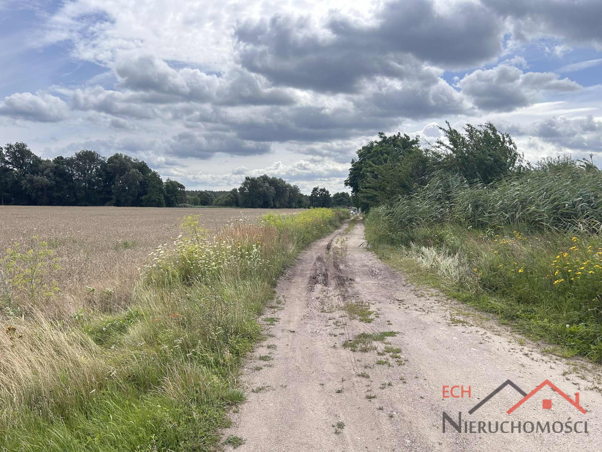 Działka — Gorzów Wielkopolski, Zieleniec