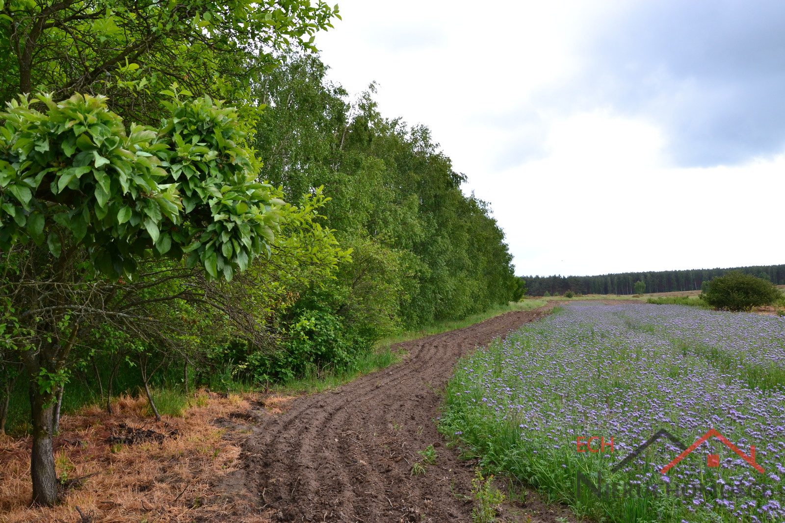 Działka — Giżyn