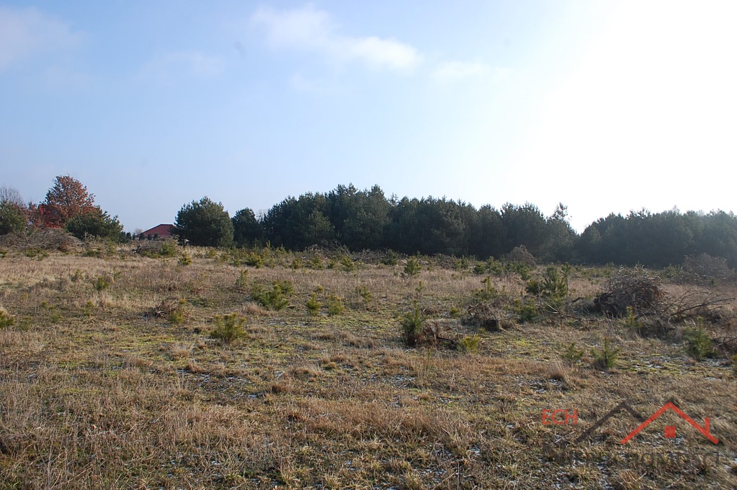Działka — Santocko