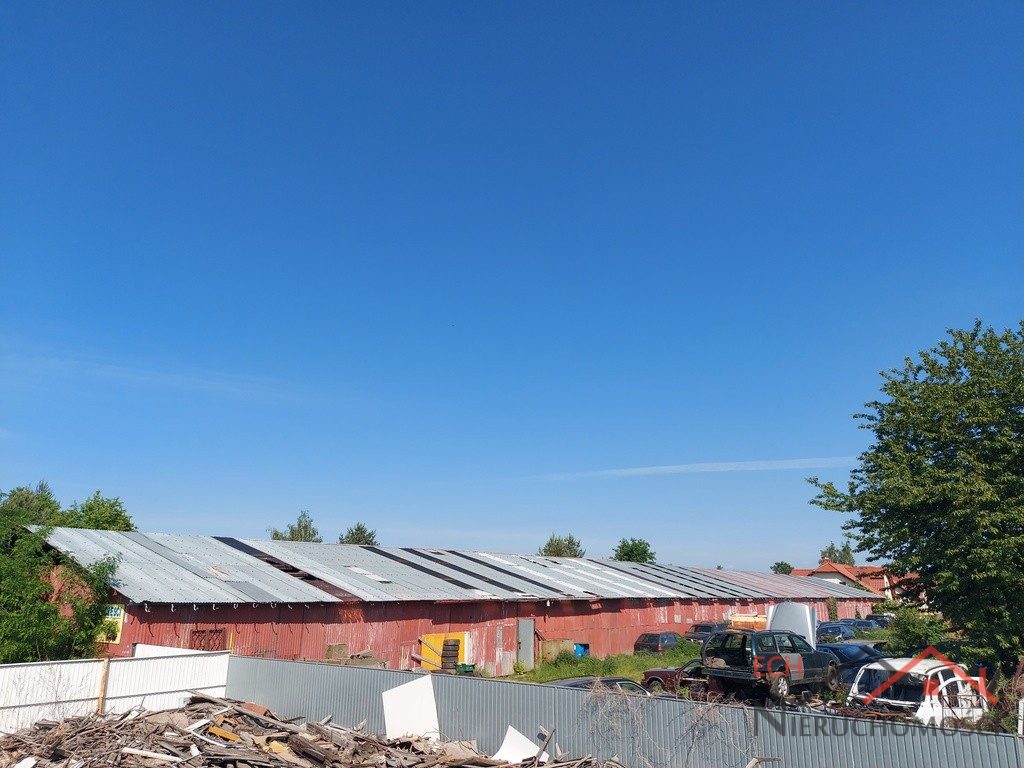 Lokal — Gorzów Wielkopolski, Gorzów Wielkopolski